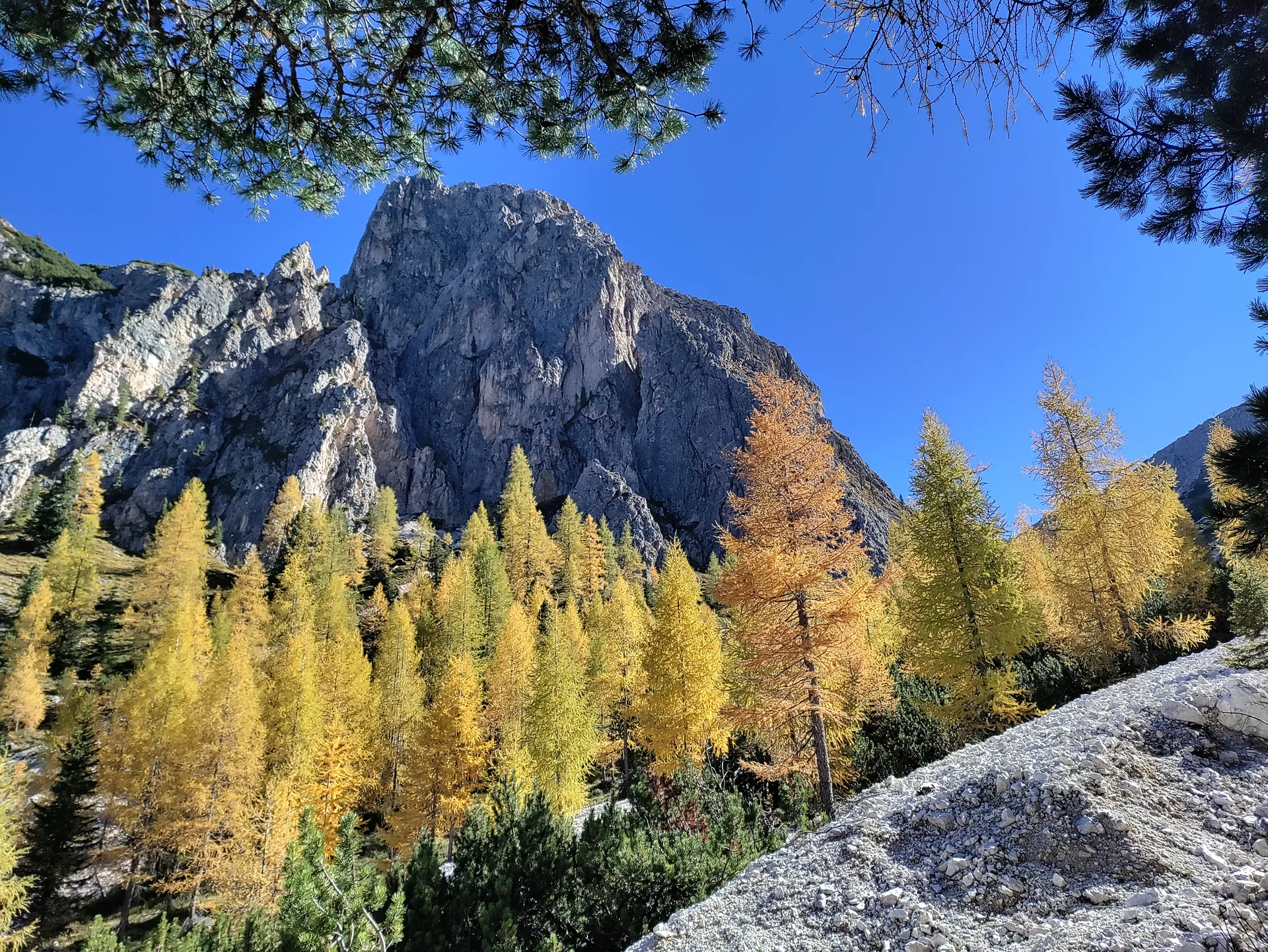 Bergpanorama im Herbst